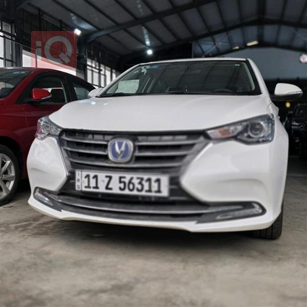 شانجان السفن 2025 للبيع في العراق -  بغداد